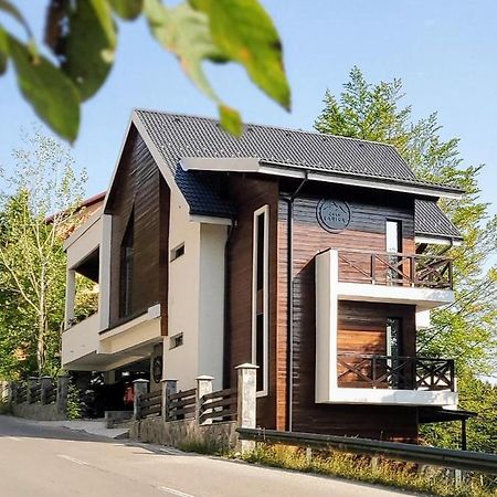 Casa Larisa Antonia Apartments ซินายา ภายนอก รูปภาพ